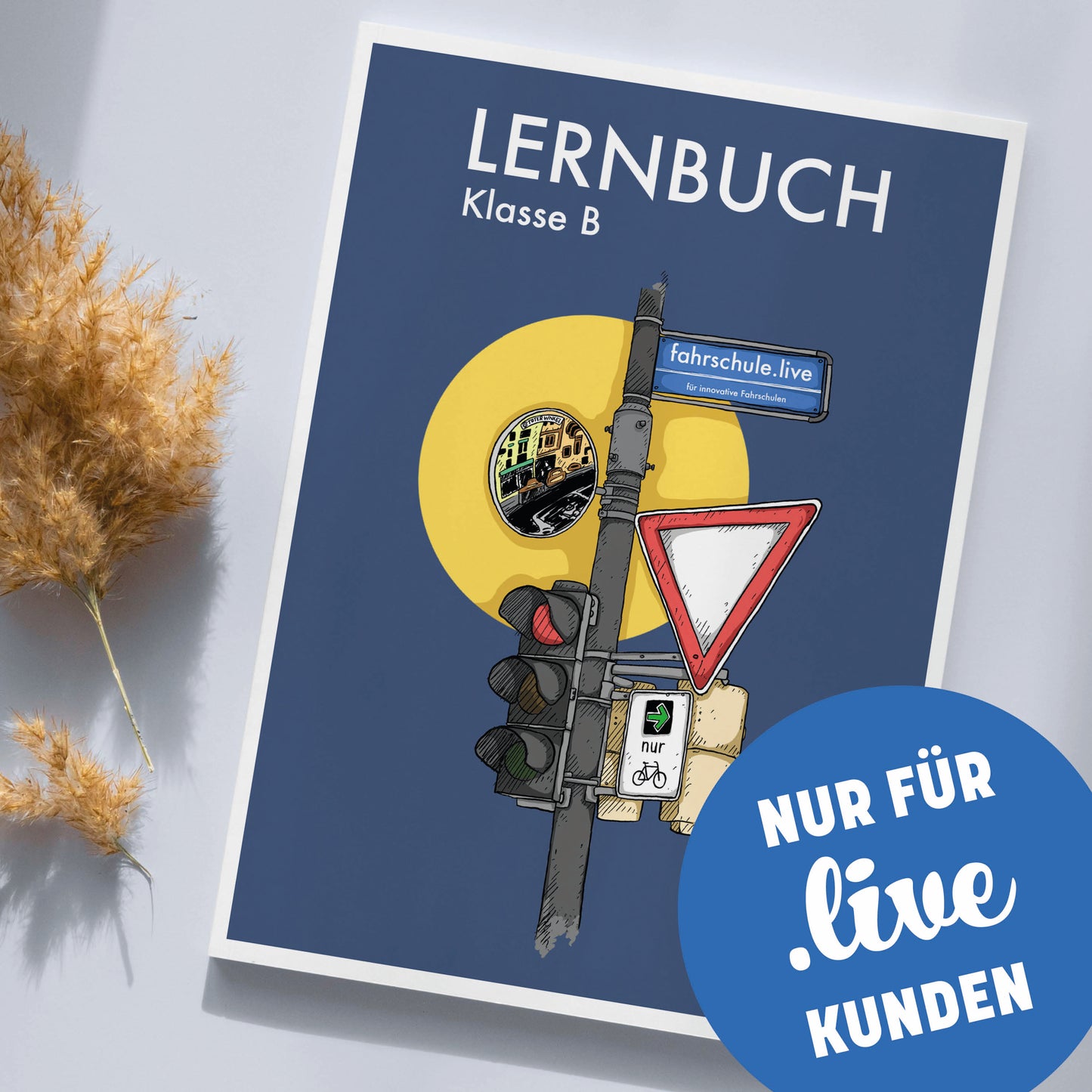 Lernbuch Klasse B - Fahrschule.Live