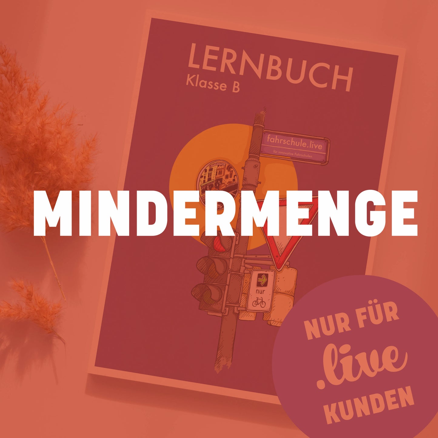 Lernbuch Klasse B - "Mindermenge"