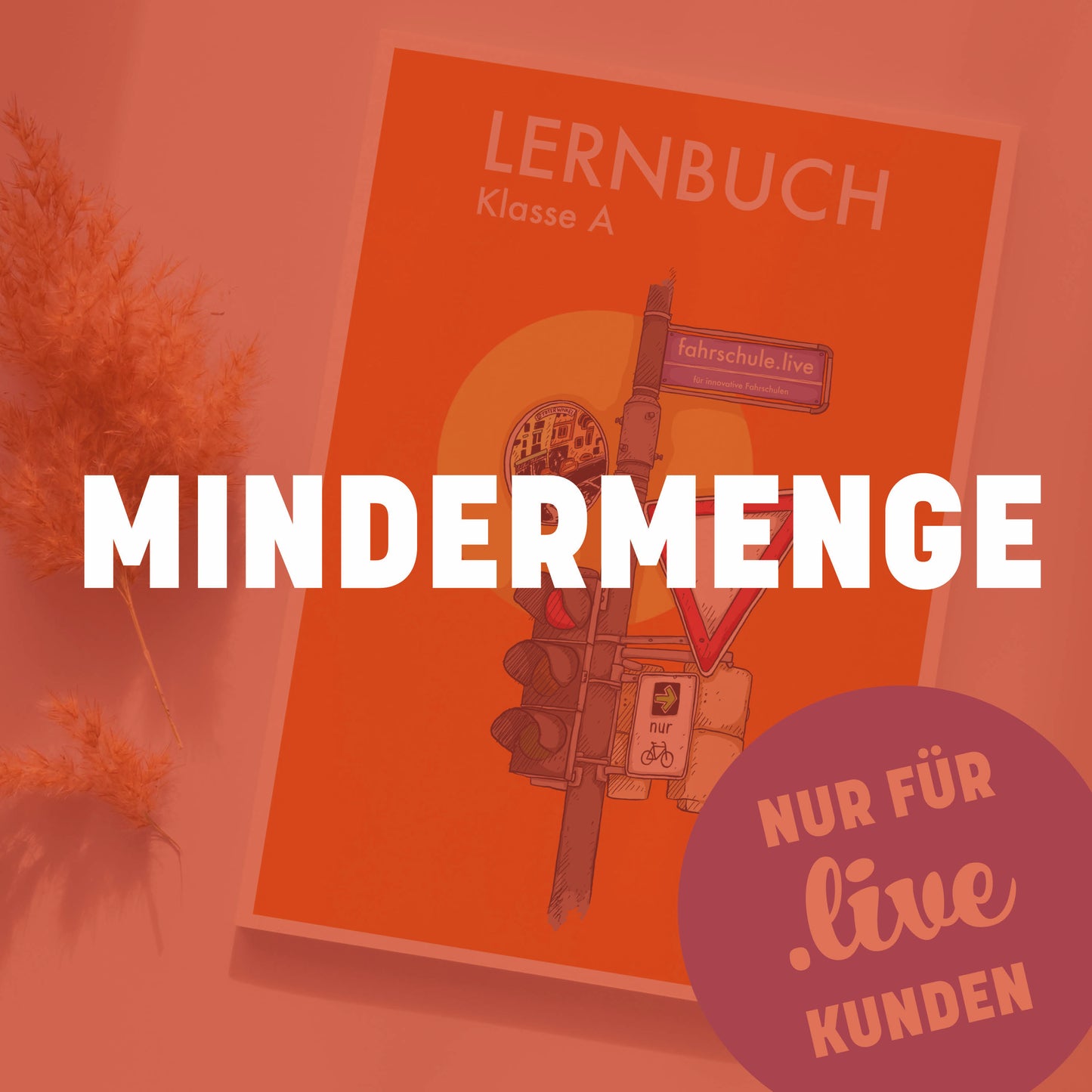 Lernbuch Klasse A - "Mindermenge"